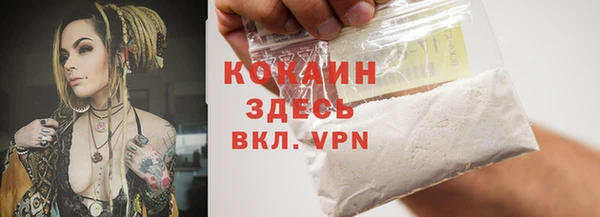 прущий лед Алзамай