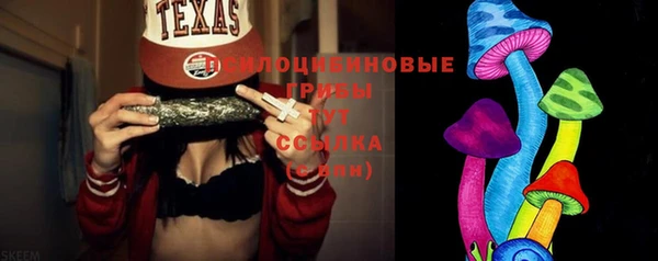прущий лед Алзамай