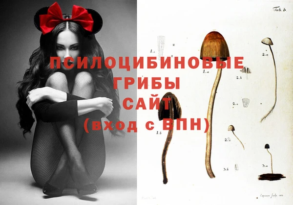прущий лед Алзамай